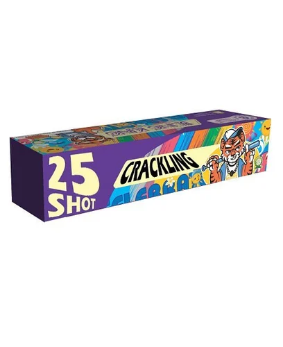 25 Shot Raider